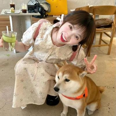 明星伙伴 第一季